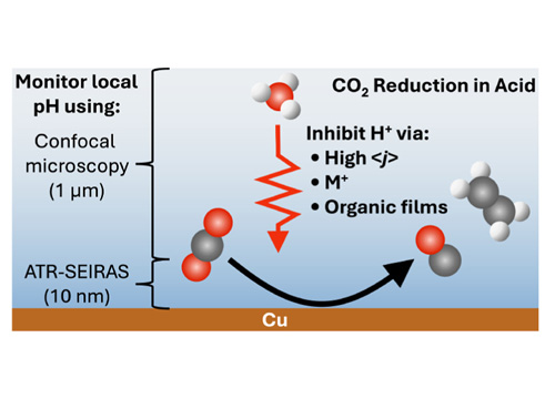 Electrochemical CO₂ Reduction in Acidic Electrolytes: Spectroscopic Evidence for Local pH Gradients