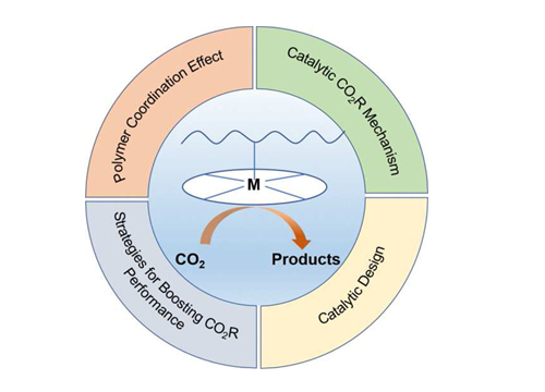 Polymer-encapsulated metal complex catalysts: An emerging and efficient platform for electrochemical CO₂ reduction