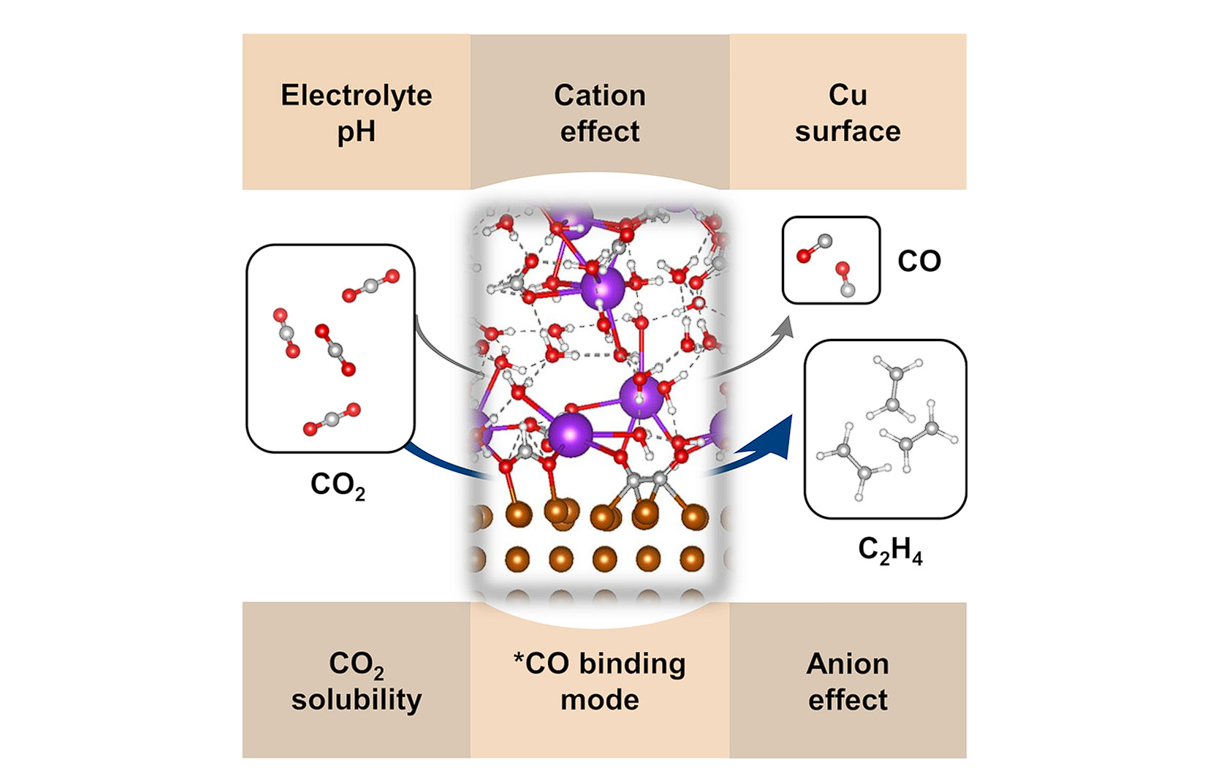 Cooperative Effects Associated with High Electrolyte Concentrations in Driving the Conversion of CO₂ to C₂H₄ on Copper